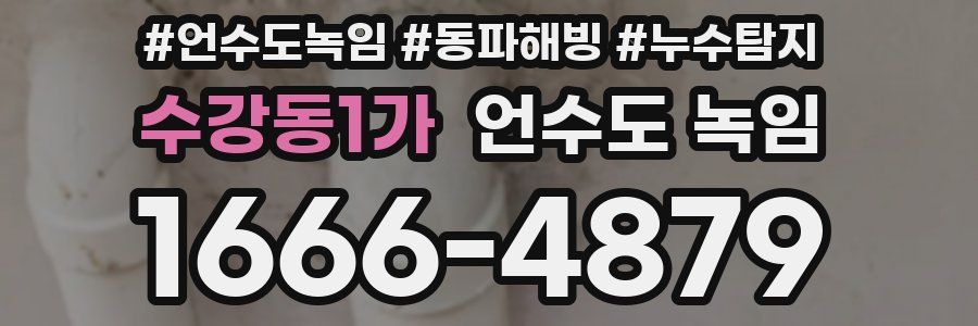 수강동1가 언수도 녹임