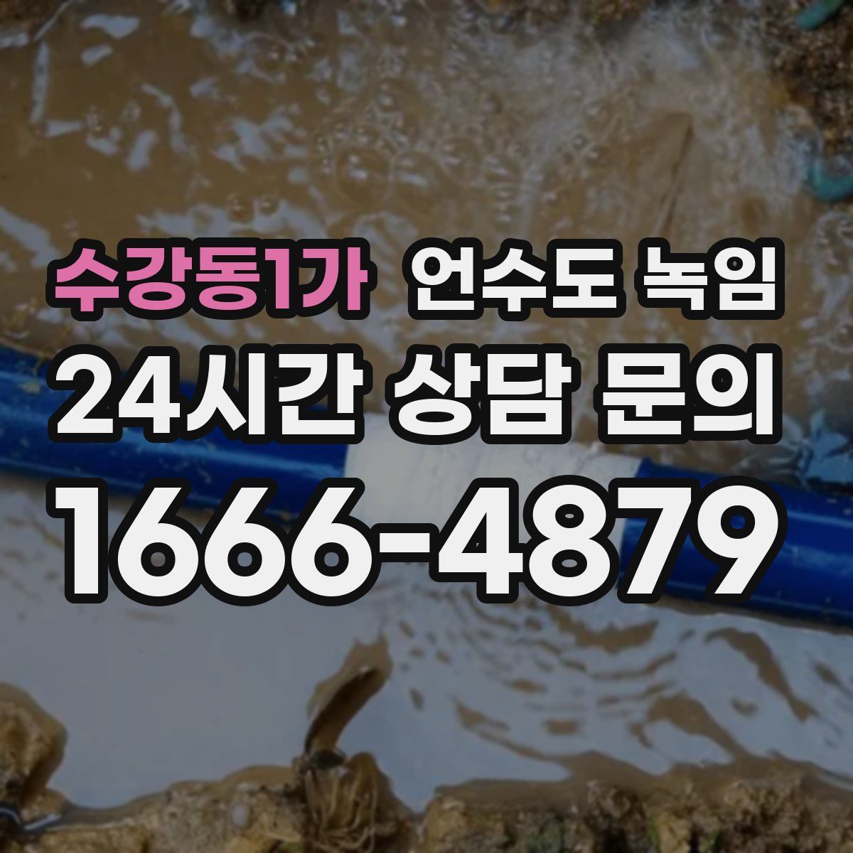 수강동1가 언수도 녹임