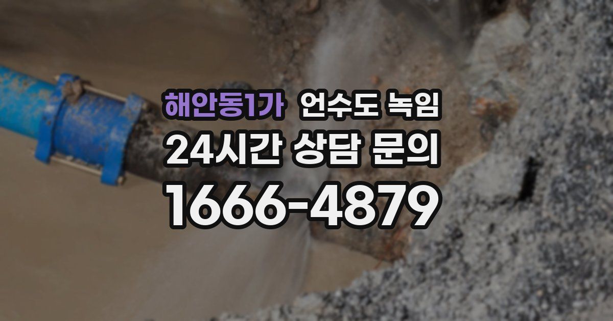 해안동1가 언수도 녹임