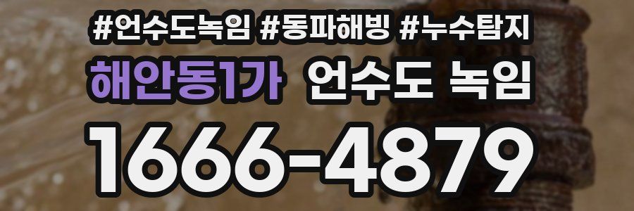 해안동1가 언수도 녹임