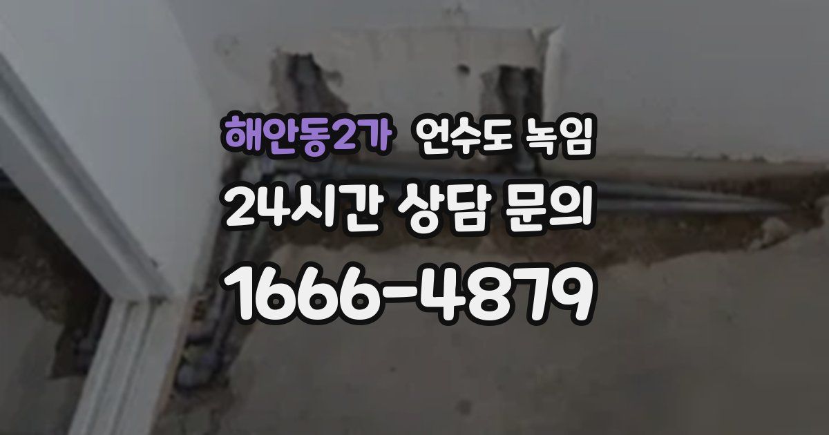 해안동2가 언수도 녹임