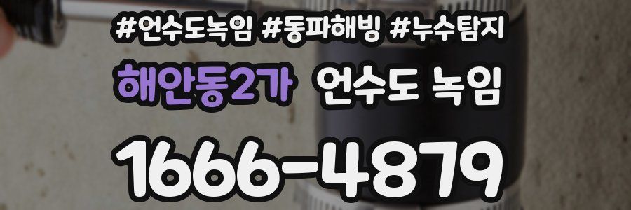 해안동2가 언수도 녹임