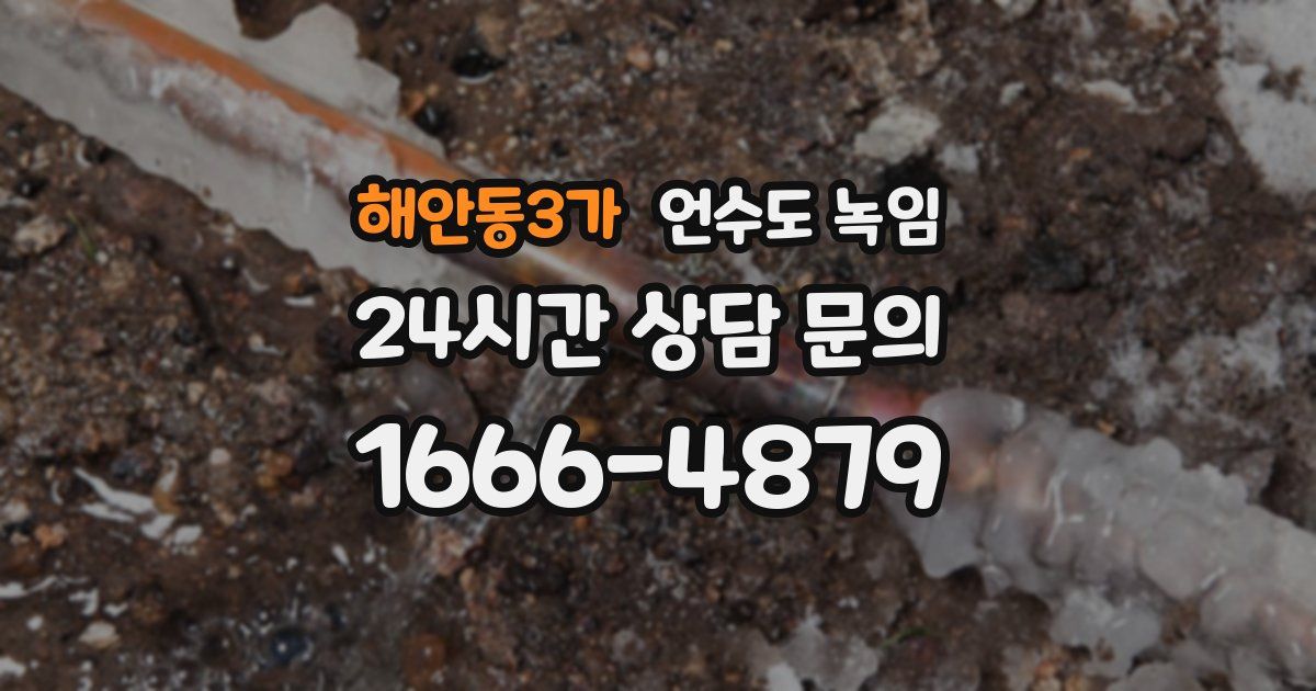 해안동3가 언수도 녹임