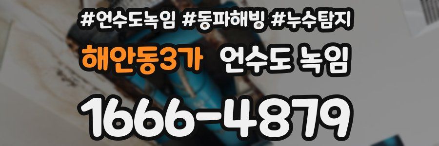 해안동3가 언수도 녹임