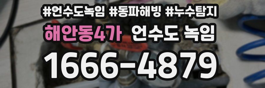 해안동4가 언수도 녹임