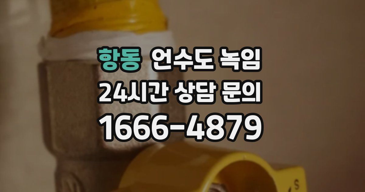 항동 언수도 녹임