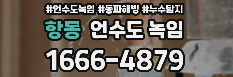 항동 언수도 녹임