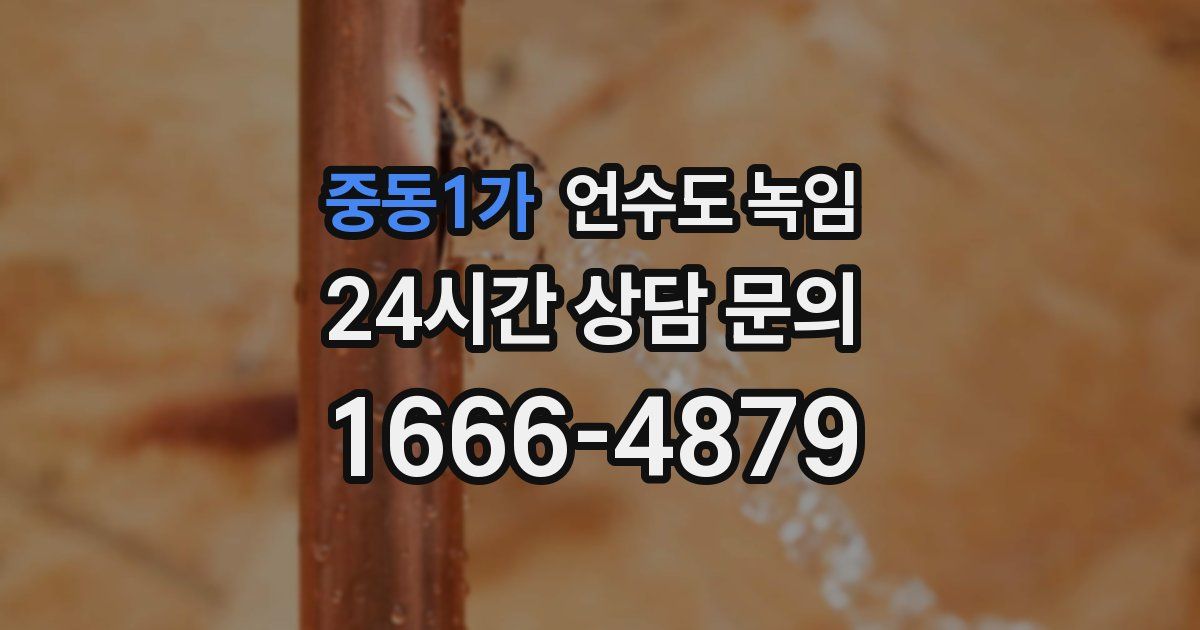 중동1가 언수도 녹임