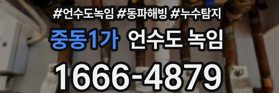 중동1가 언수도 녹임