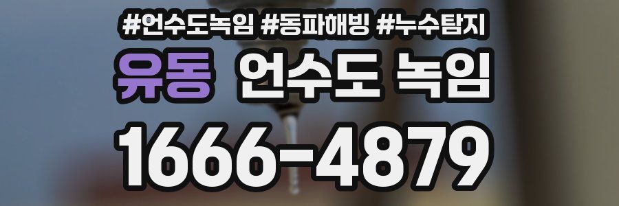 유동 언수도 녹임