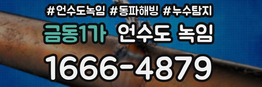 금동1가 언수도 녹임