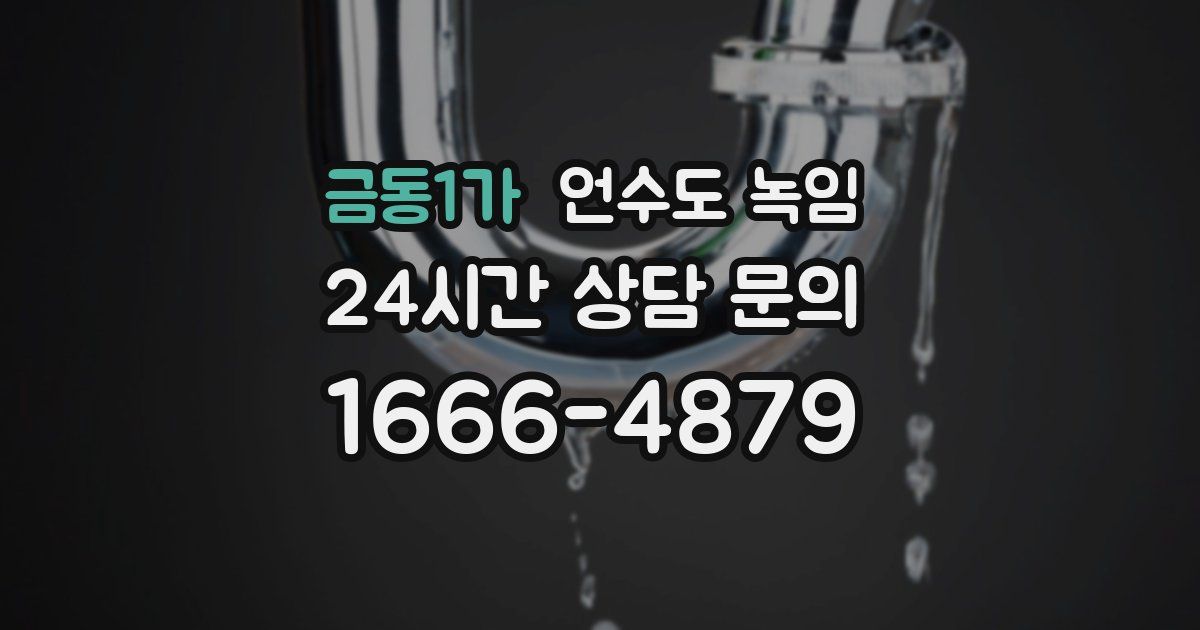 금동1가 언수도 녹임