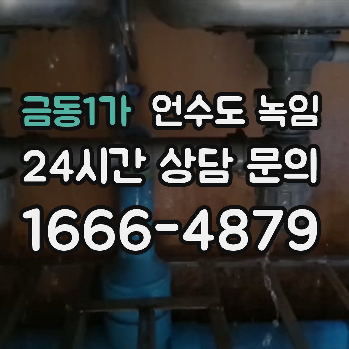 금동1가 언수도 녹임