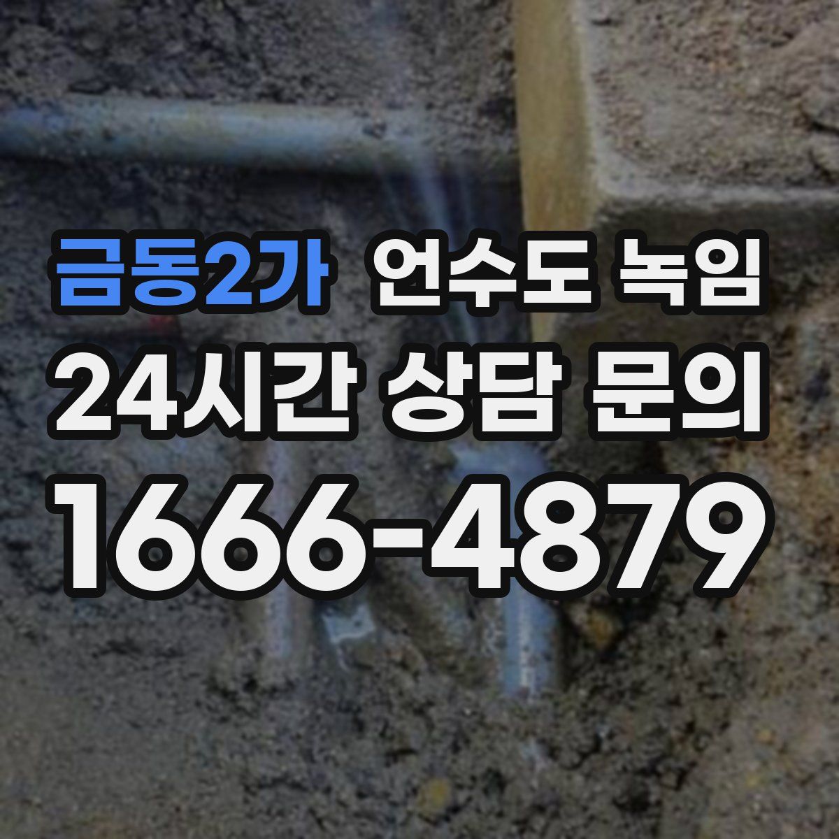 금동2가 언수도 녹임