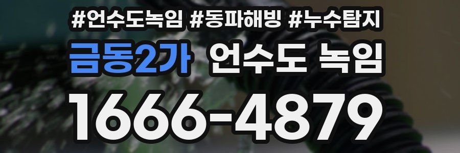 금동2가 언수도 녹임