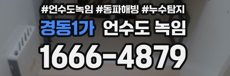 경동1가 언수도 녹임