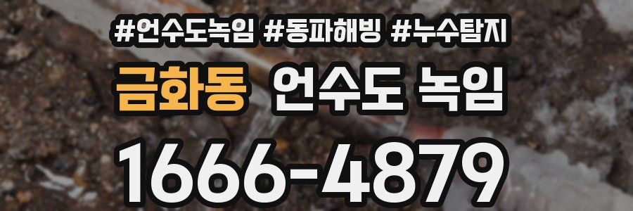 금화동 언수도 녹임