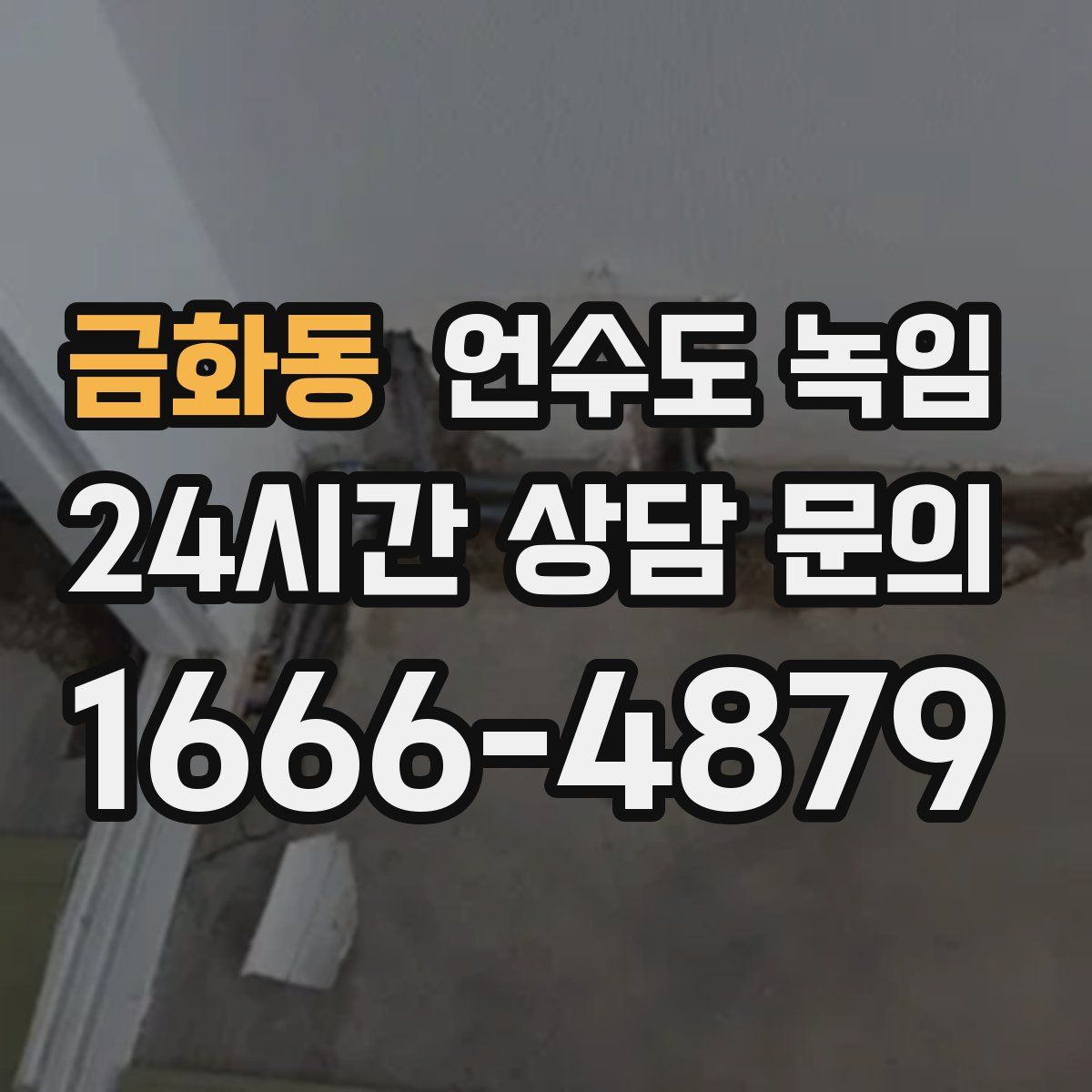 금화동 언수도 녹임