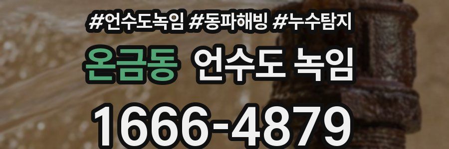 온금동 언수도 녹임