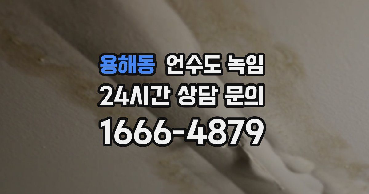 용해동 언수도 녹임