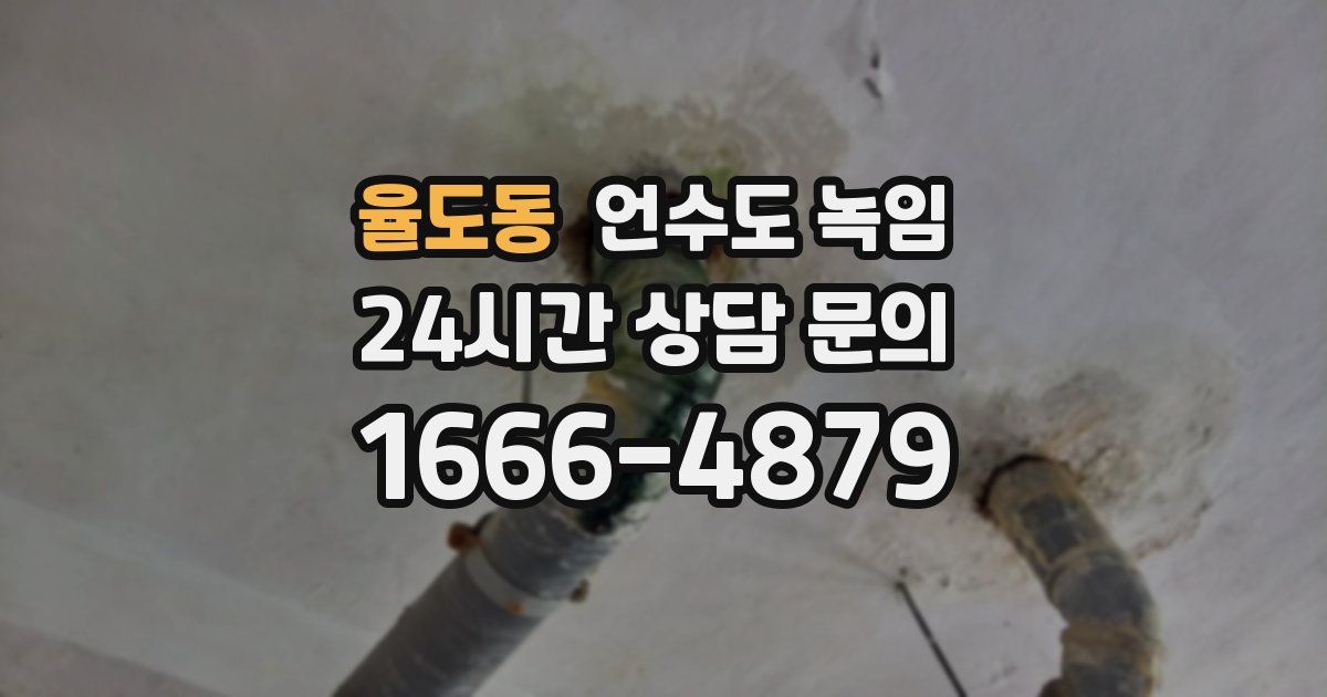 율도동 언수도 녹임