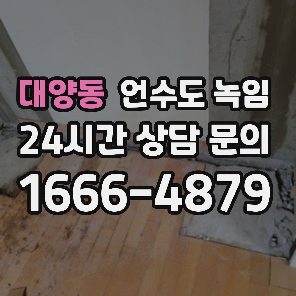 대양동 언수도 녹임