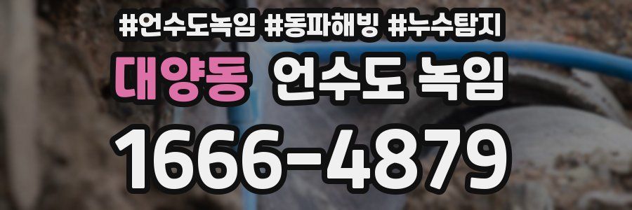 대양동 언수도 녹임