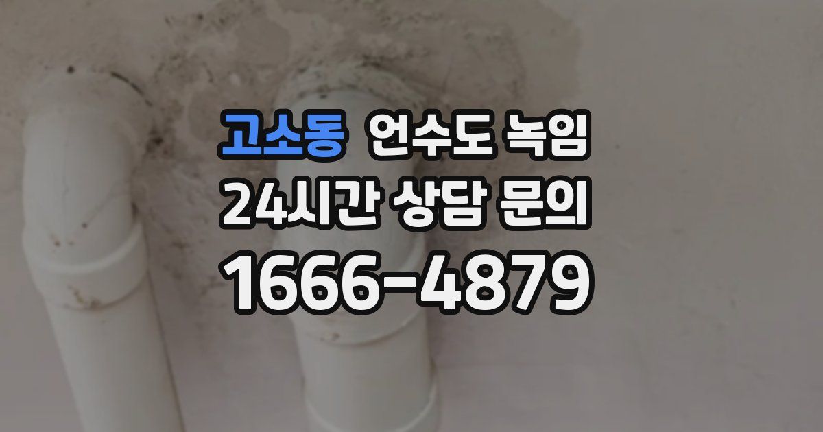 고소동 언수도 녹임