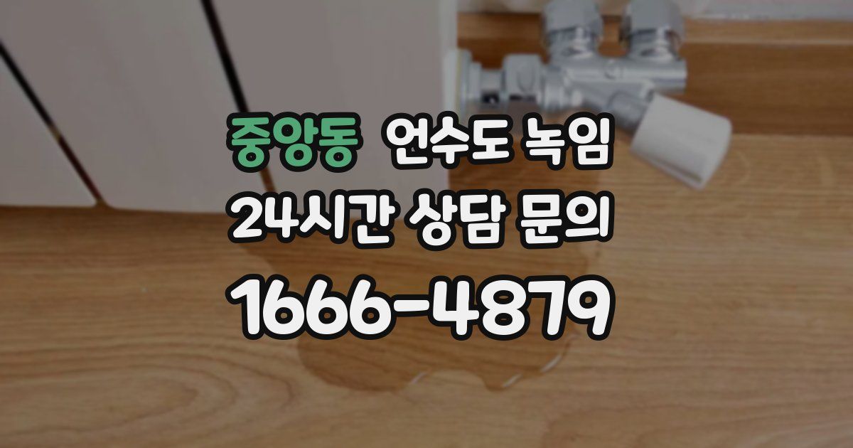 중앙동 언수도 녹임