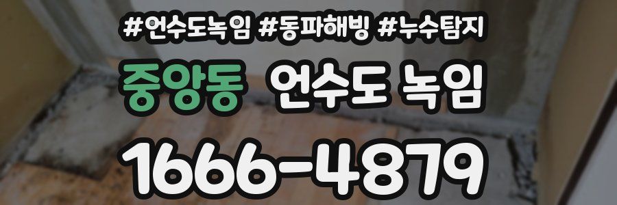 중앙동 언수도 녹임