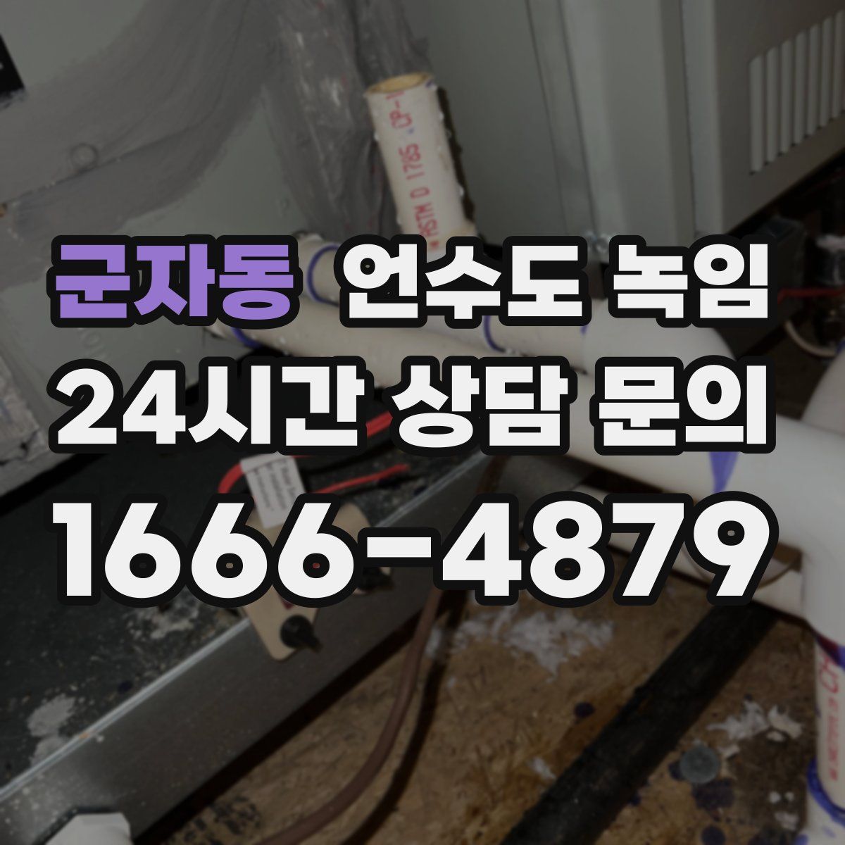 군자동 언수도 녹임