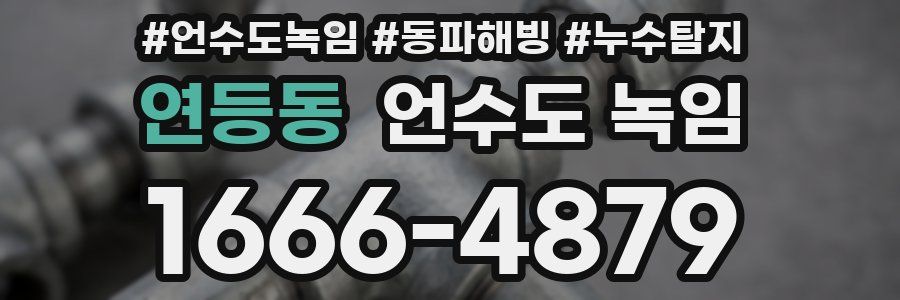 연등동 언수도 녹임