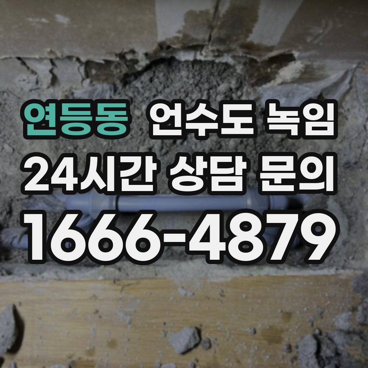 연등동 언수도 녹임