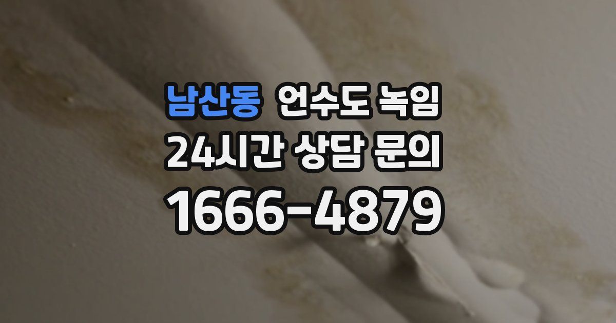 남산동 언수도 녹임