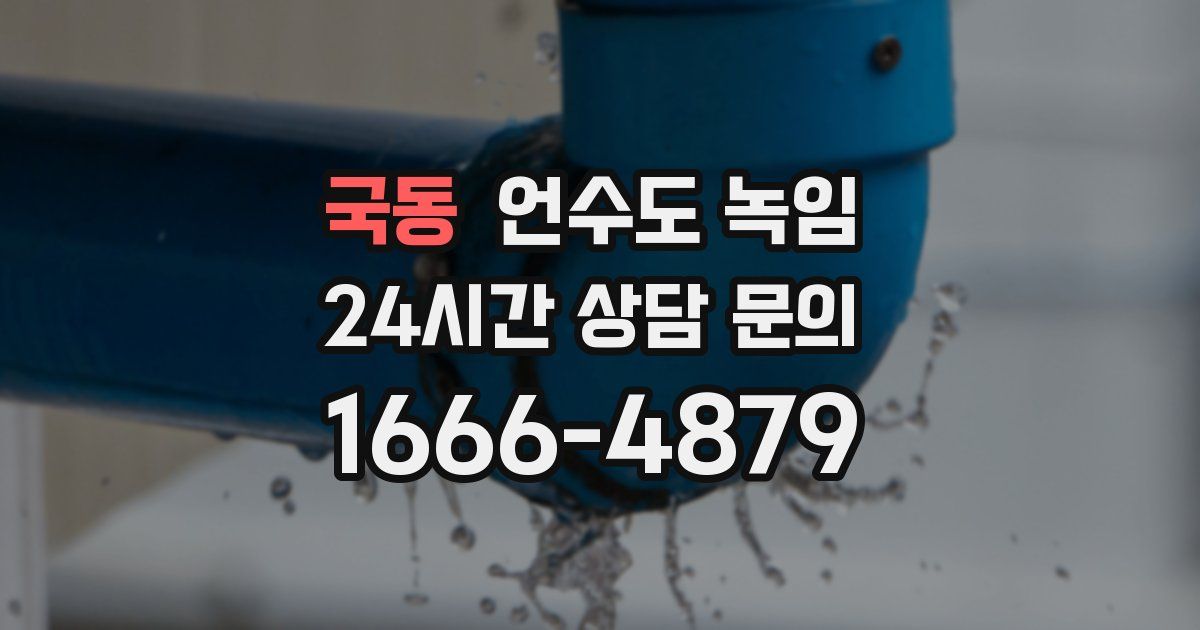 국동 언수도 녹임