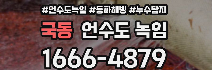 국동 언수도 녹임