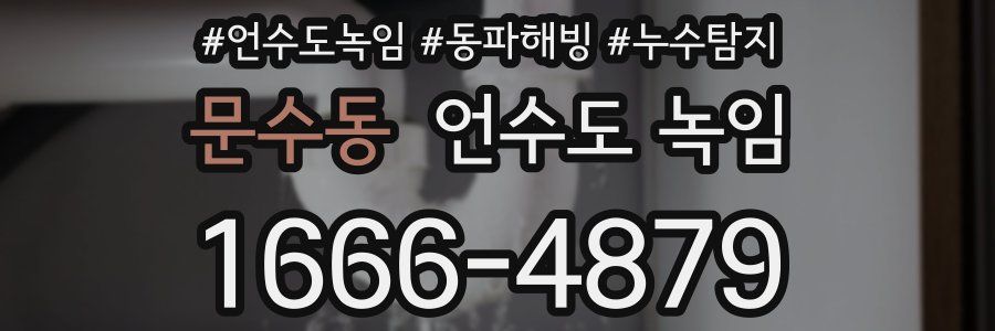 문수동 언수도 녹임