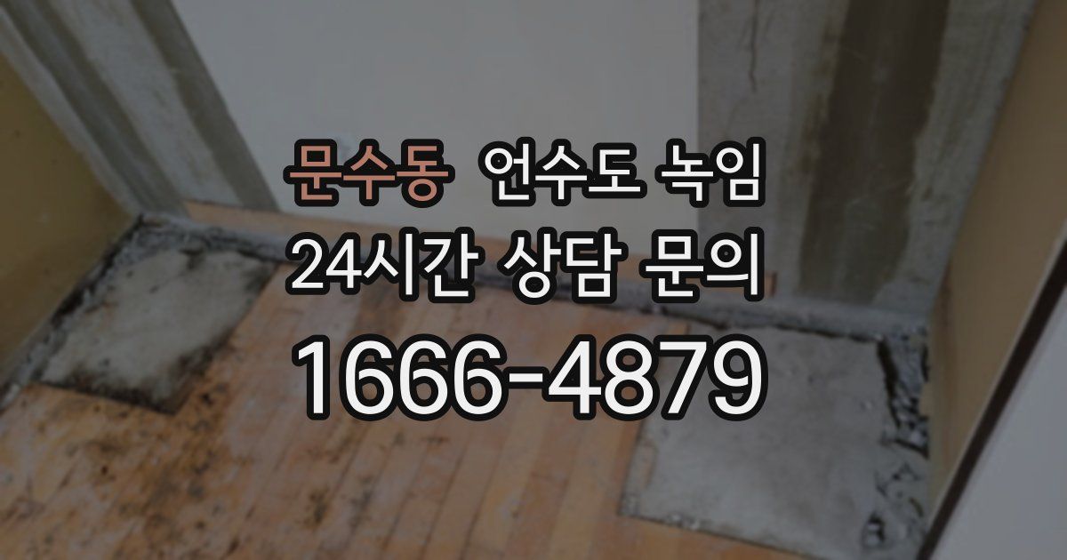 문수동 언수도 녹임