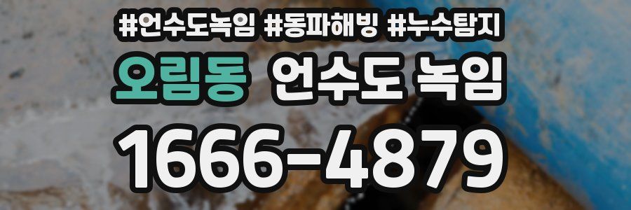 오림동 언수도 녹임