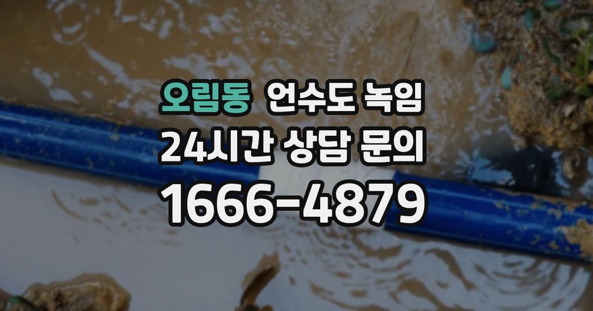 오림동 언수도 녹임