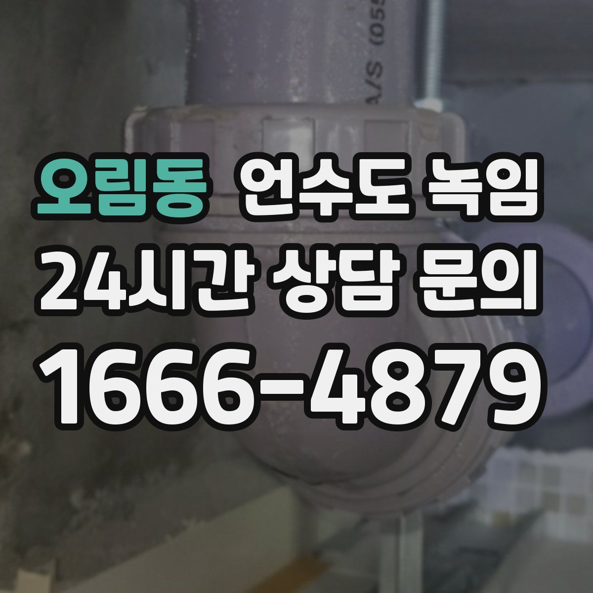 오림동 언수도 녹임