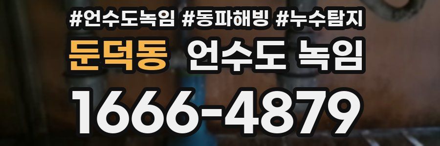 둔덕동 언수도 녹임