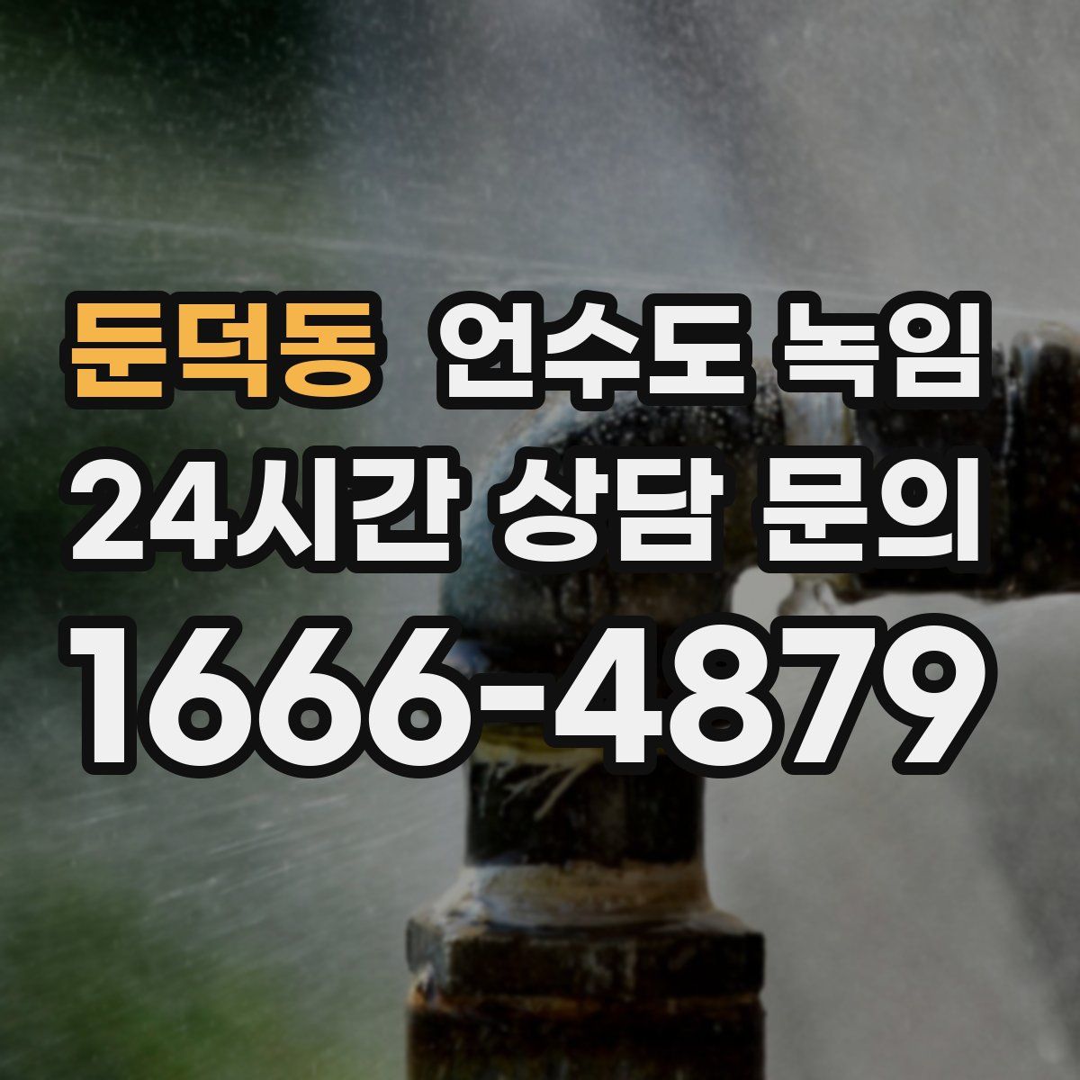 둔덕동 언수도 녹임