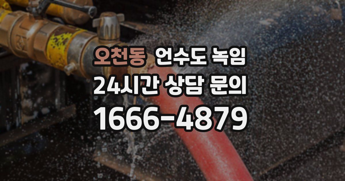 오천동 언수도 녹임