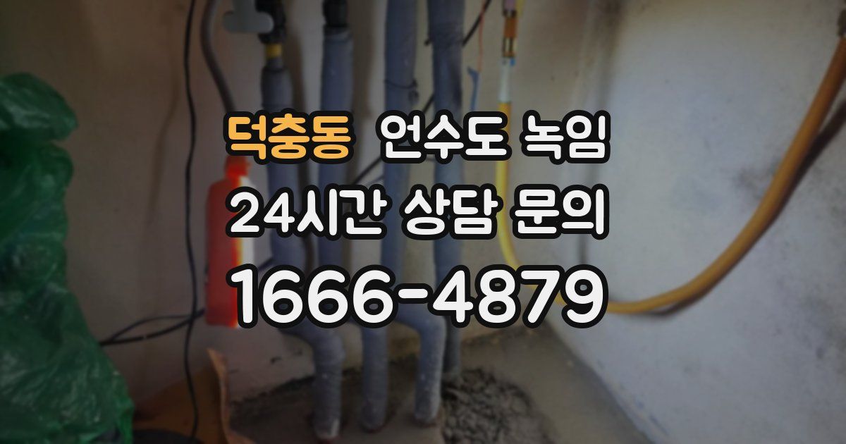 덕충동 언수도 녹임