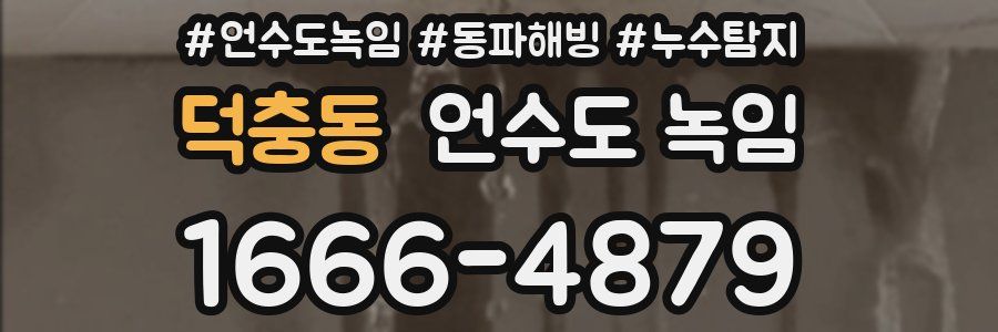 덕충동 언수도 녹임