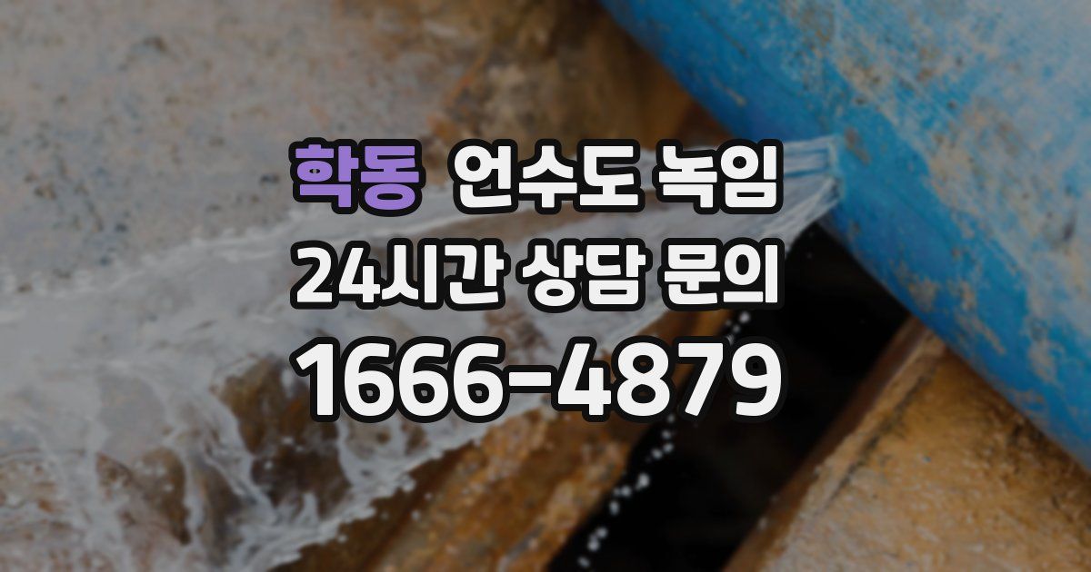 학동 언수도 녹임