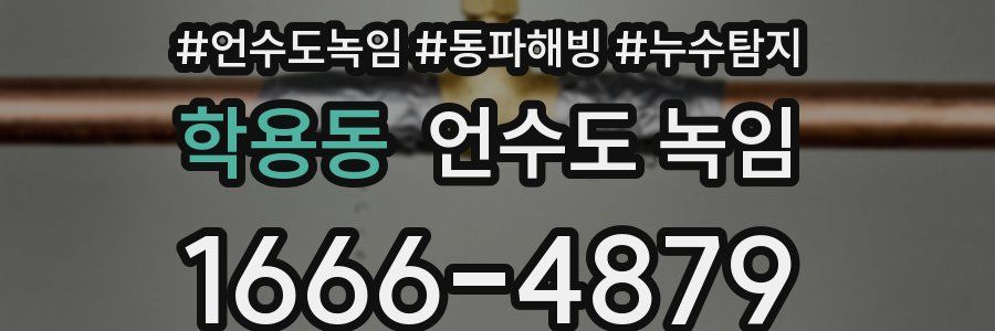 학용동 언수도 녹임