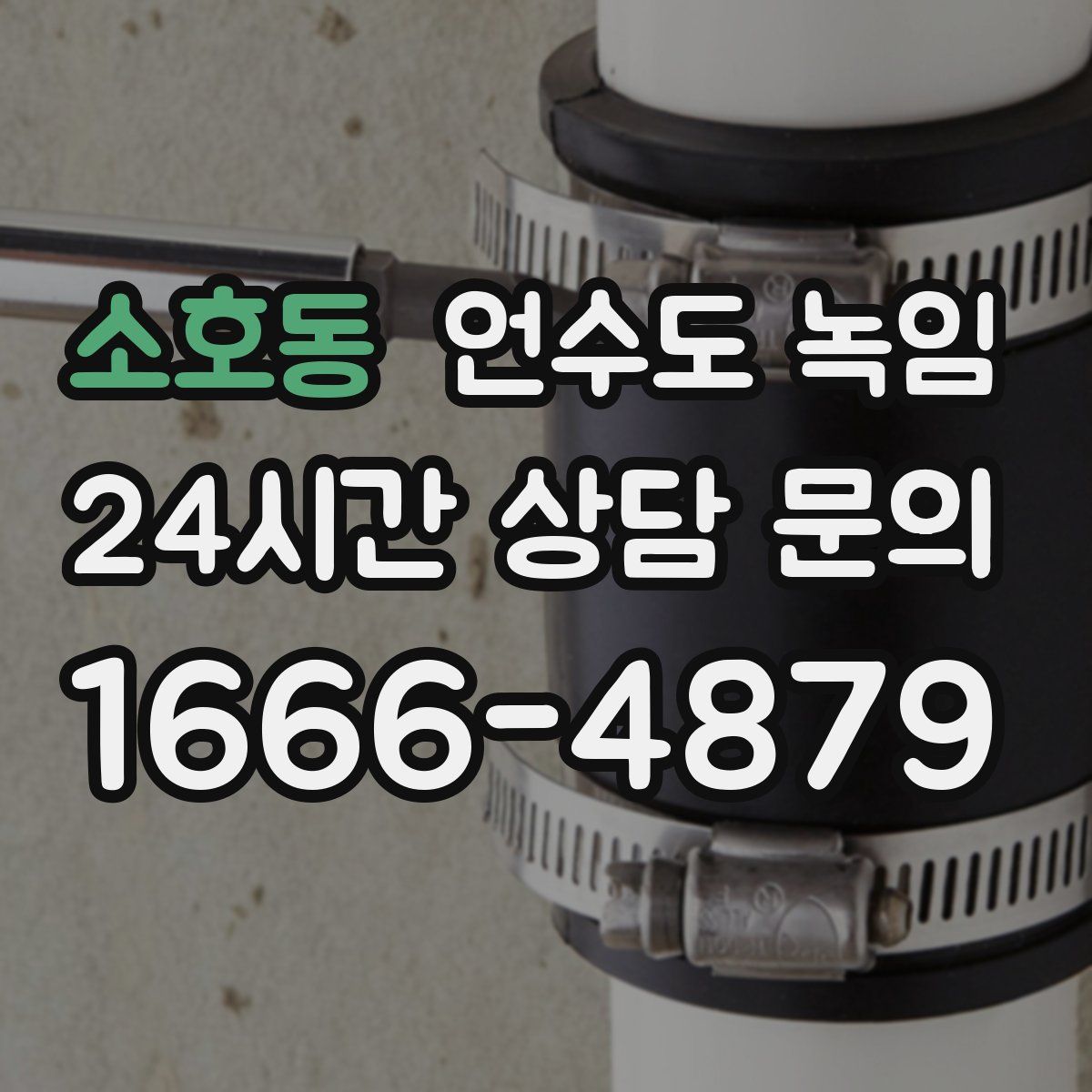 소호동 언수도 녹임