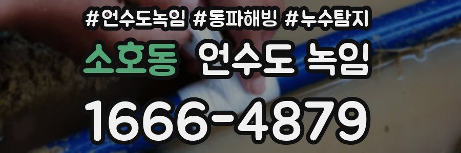 소호동 언수도 녹임